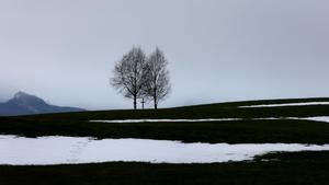 42 Tage Wettertrend Polarlufteinbruch ohne Schnee und ein spätes