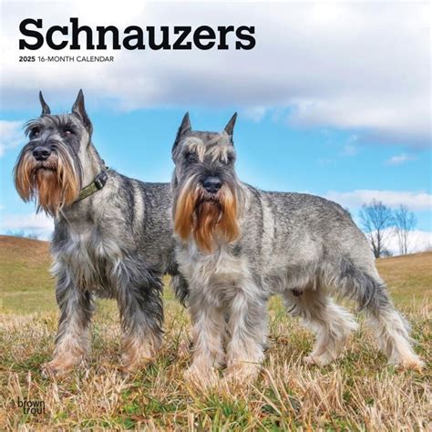 Schnauzer Kalender Kopen Bestel Eenvoudig Online