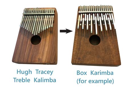 Transforming Your Kalimba To Celtic D Lotus Karimba A Guide Blog Item News And