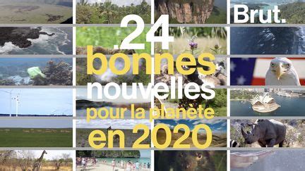 VIDEO 24 bonnes nouvelles pour la planète en 2020