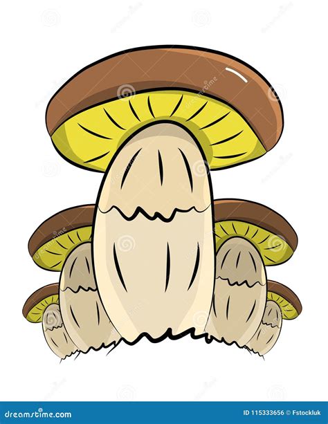 Group Of Brown Boletus Mushrooms In Adult Form Hand Drawn Vector