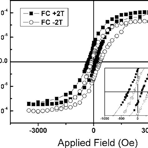 Hysteresis Loops Measured At K Of Fc Samples Of Si Cu Zncoo Nio