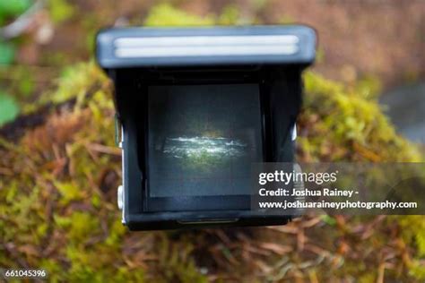 81 Tlr Camera Stock Photos, High-Res Pictures, and Images - Getty Images