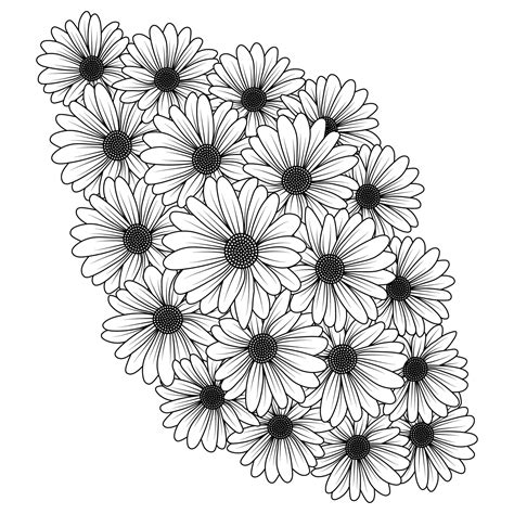 Daisy Flower Daisies Outline Vector Design In Detailed Line Art