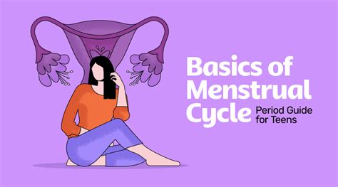 Phases Of Menstrual Cycle