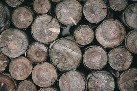 HD Wallpaper Wood Logs Lumber Nature Stack Full Frame Timber