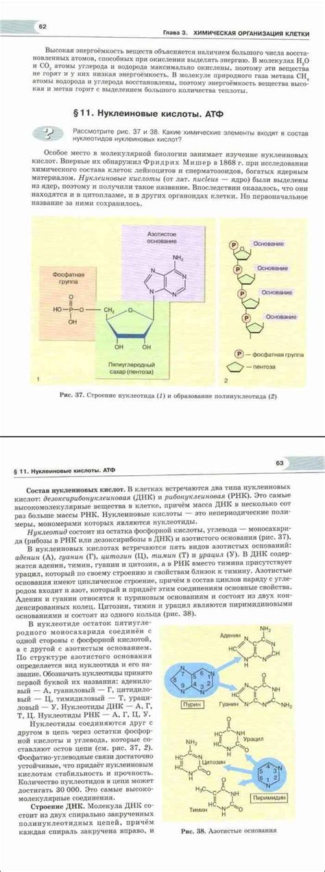 Читать онлайн учебник по биологии за 10 класс Теремов Петросова