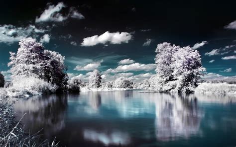 Wallpaper Sunlight Trees Landscape Lake Water Nature Reflection