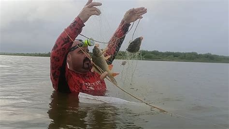 Pesca De Carpas Lobinas Y Tilapias Con Trasmallos Youtube