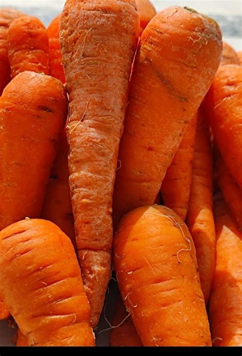 A Grade Freeze Dried Carrot Packaging Size Kg At Best Price In Tanuku