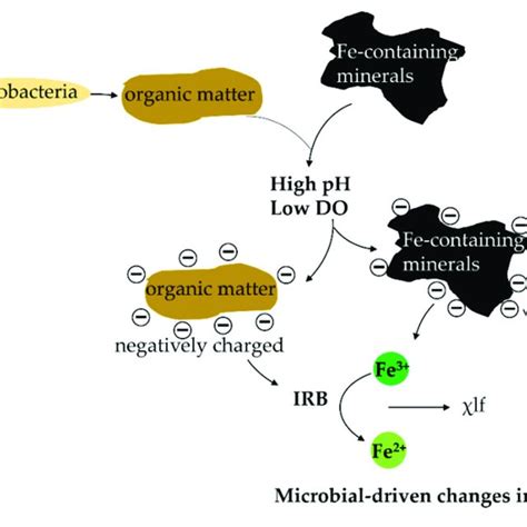 Iron Reducing Bacteria Irb Driven Changes In Low Frequency
