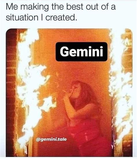 50 Best Gemini Memes That Describe This Zodiac Sign Artofit