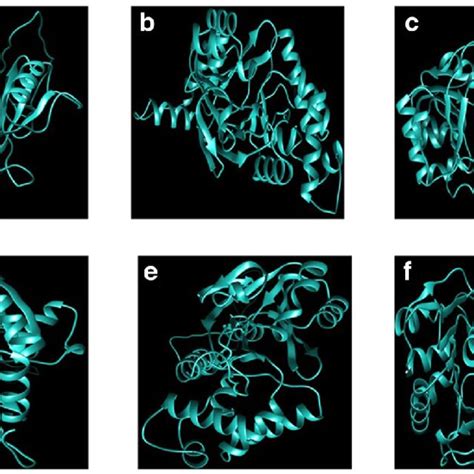 Final Three Dimensional Homology Structure Predictions Of Glyoxalase I