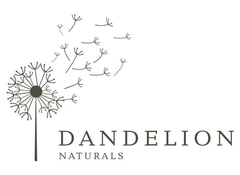 Dandelion Naturals Homemade Hand And Body Soap Bars Shampoo Bars And Dish Soap Bars