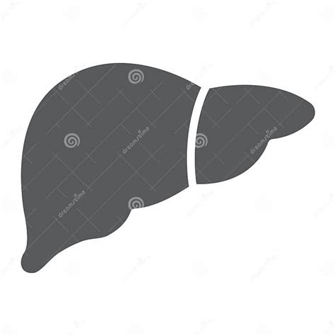 Liver Glyph Icon Anatomy And Biology Hepatology Stock Vector