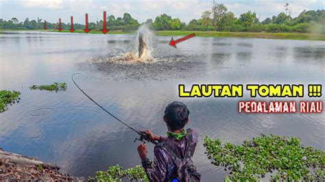 EKSOTIS DANAU ALAMI TENGAH HUTAN DIHUNI RIBUAN TOMAN GANAS YouTube