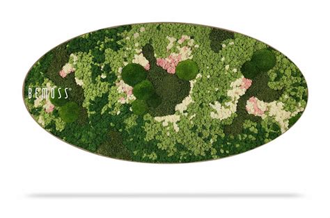 Tableau De Mousse Ellipse Bemoss Ortho Pink Bemoss