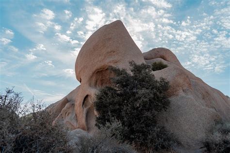 Side View Of Skull Rock At Joshua Tree National Park Ca Oc 6000 X