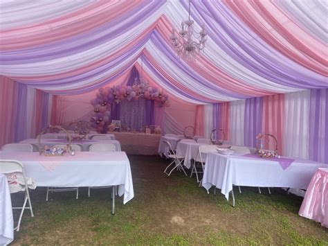 Butterfly Birthday Party Party Tent Decorations Tent Decorations