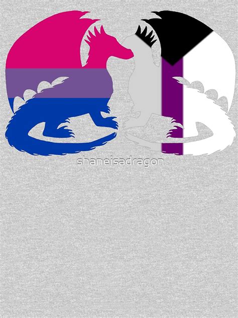 Bi Demisexual Pride Dragons T Shirt For Sale By Shaneisadragon