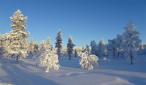 Лапландия. Саариселька. Часть 1. Транспорт.: yeolka1 — LiveJournal