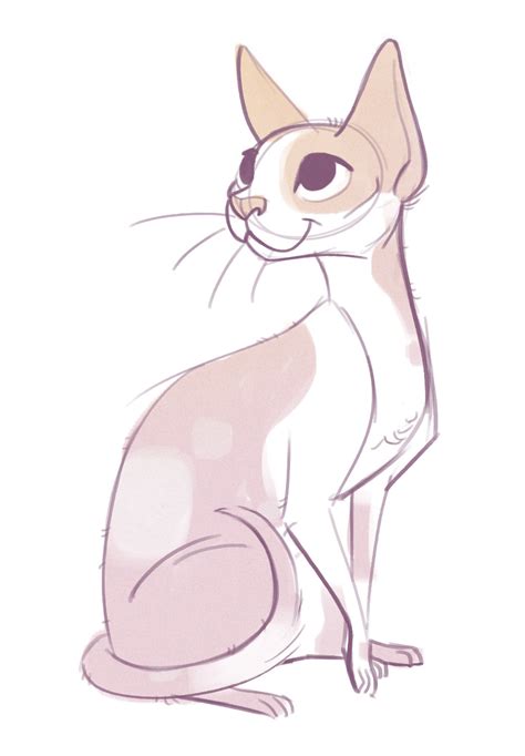 Daily Cat Drawings Devon Rex Sketch