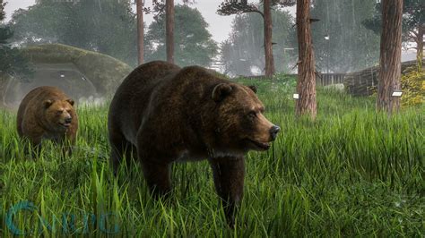 Planet zoo game - gorillavirt