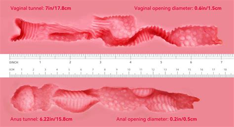 Tantaly Doll Comparison