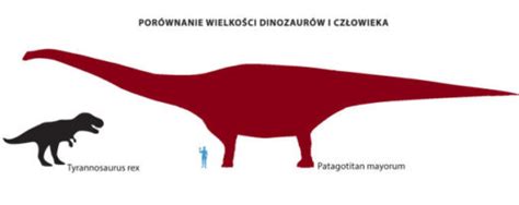 Największy dinozaur świata Biuro Rekordów