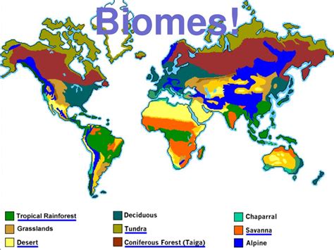 Ppt Biomes Powerpoint Presentation Free Download Id1428102