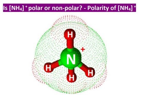 Is NH4+ Polar or Nonpolar? - Polarity of Ammonium ion | Molecular geometry, Molecular shapes ...