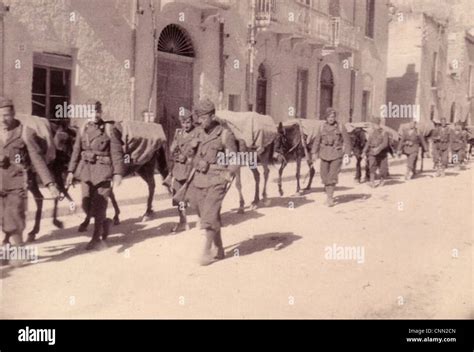 Zweiter Weltkrieg Zweiter Weltkrieg Nazi Deutschland Stockfotos Und