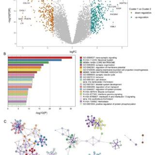 Functional Analysis For DEGs A B Heatmap Shows DEGs Between Two