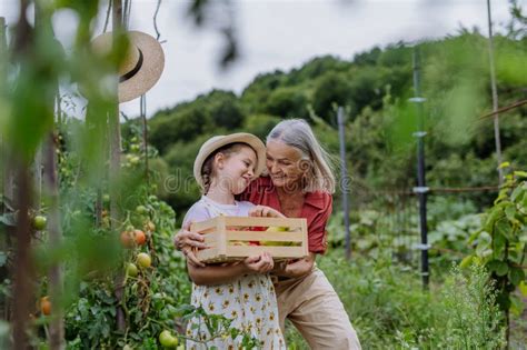 Grand mère Avec Petite fille Avec Caisse Pleine De Légumes Concept D