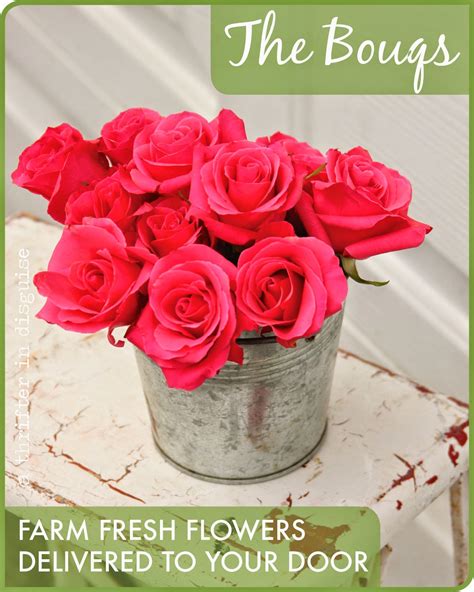 A Thrifter In Disguise Farm Fresh Flowers Delivered To Your Door