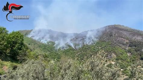 Incendio Boschivo Nella Presila Individuati I Responsabili