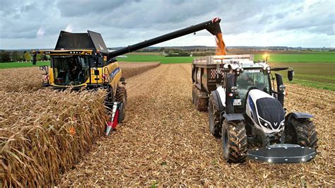 Moisson maïs grain 2023 ETA Lolli et ETA Briand New holland CR 9 80 et