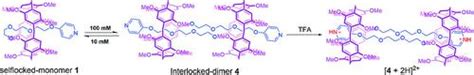 柱 5 芳烃基假 1 轮烷作为酸 碱可控制的两态分子梭 European Journal of Organic Chemistry X MOL