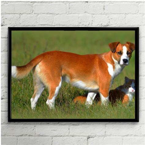 Постер Животные, Арт купить по выгодной цене в интернет-магазине OZON ...