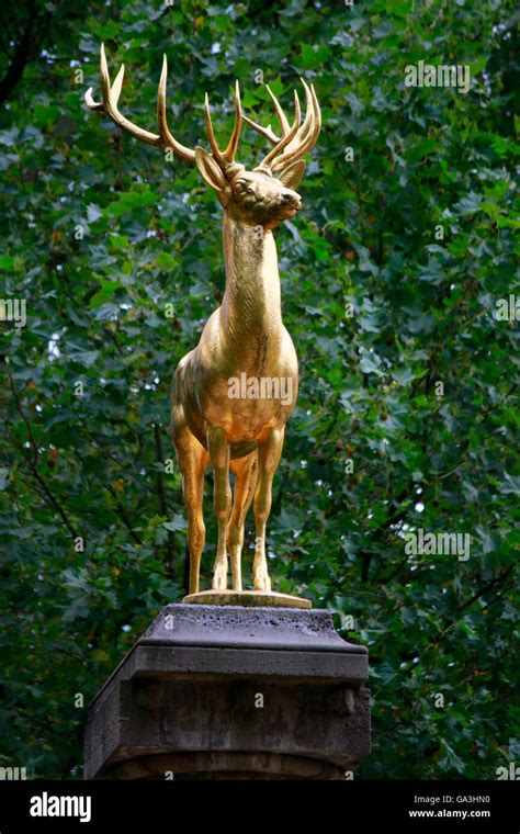 Goldener Hirsch Berlin Fotos Und Bildmaterial In Hoher Aufl Sung Alamy