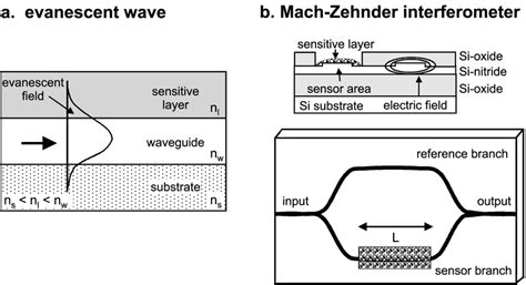 A Schematic Of An Evanescent Wave In An Optical Waveguide B