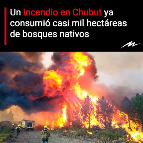 Radio Mitre On Twitter El Incendio En El Parque Nacional Los