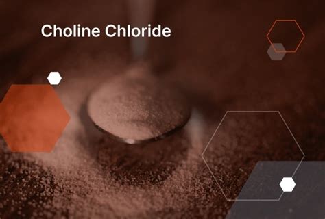 What is Choline Chloride used for? - Kemiex