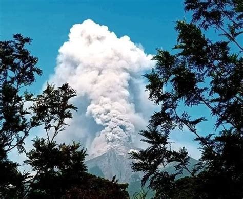 Video Volcán De Fuego De Guatemala Inicia Erupción Lanzando Ceniza Y Lava