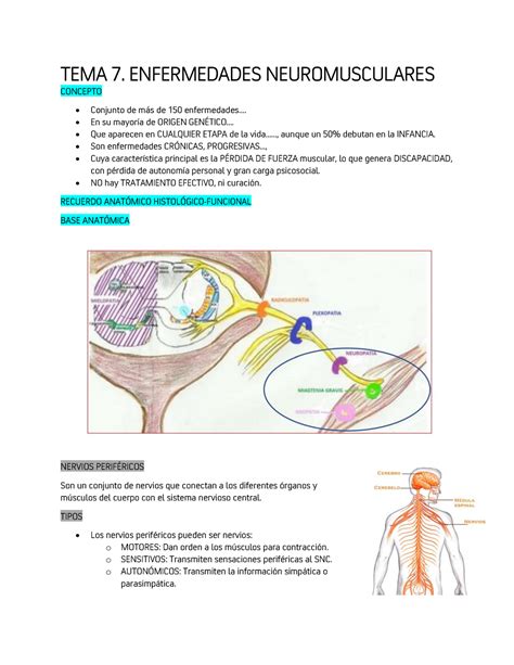 Tema Enfermedades Neuromusculares Tema Enfermedades