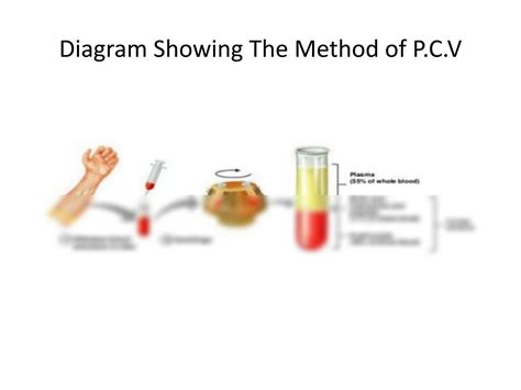 Solution Packed Cell Volume And Erythrocyte Sedimentation Studypool