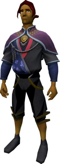 Forinthry Royal Robe Top The Runescape Wiki