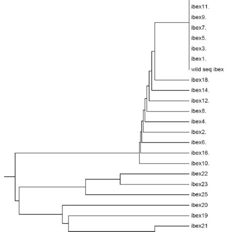 Upgma Phylogenetic Tree Made On The Basis Of Hsp701 Gene Sequences Of