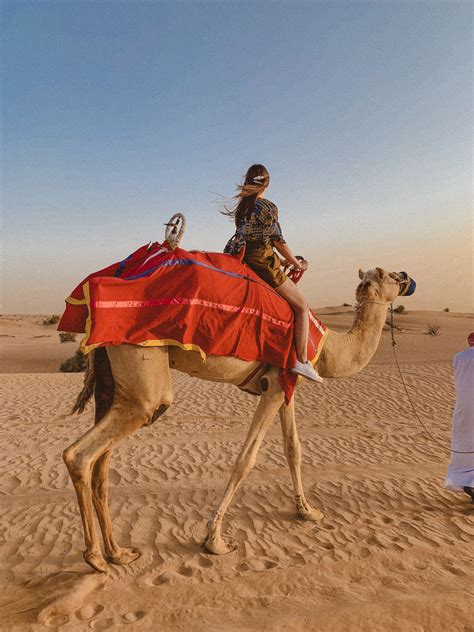 Dubai desert safari Dubai Desert Safari, Time Of Our Lives, Eastern Art ...