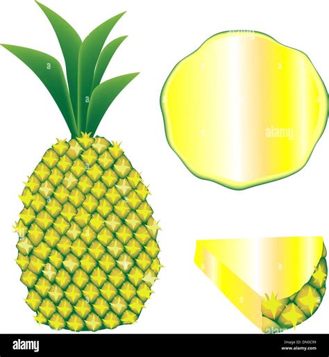 Pineapple Vector Illustration Stock Vector Image Art Alamy